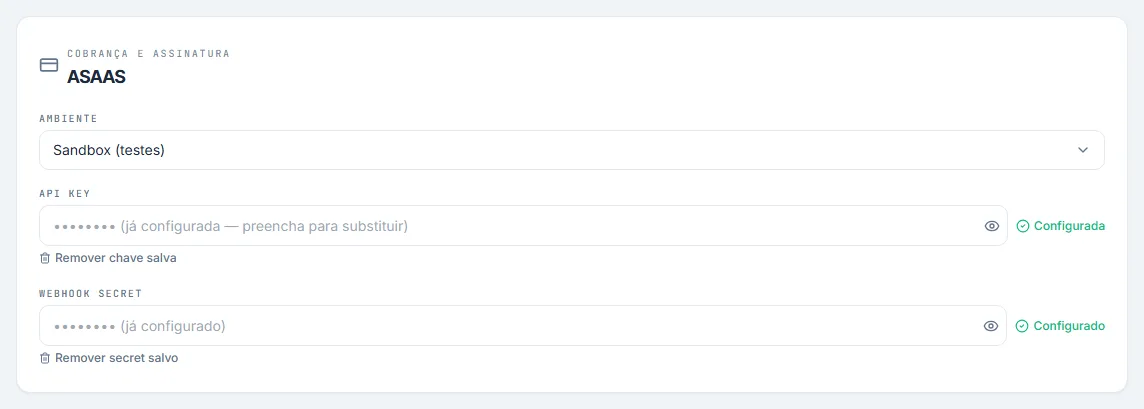 Seção ASAAS com o ambiente, a API Key e a situação da configuração